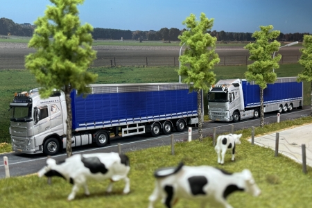 Volvo FH 5 Broekman pluimveetransport 